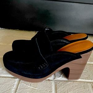 Gorgeous Splendid clogs